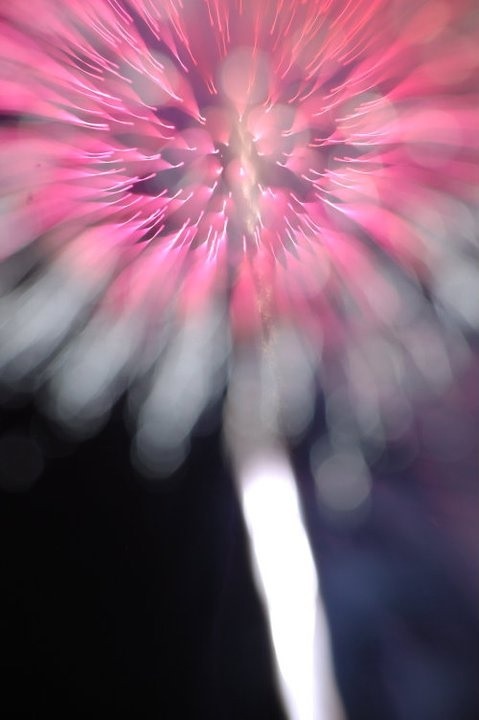 Fireworks Photography Challenge: Firework Dandelion