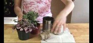 Recycle an aluminum can into an indoor mini planter