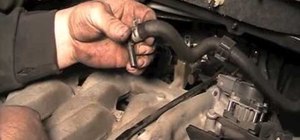 Disconnect the brake hoses connectors on a Ford or Mazda
