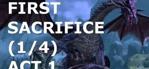 Complete the Dragon Age 2 sidequest 'First Sacrifice'