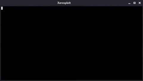How to Perform Advanced Man-in-the-Middle Attacks with Xerosploit