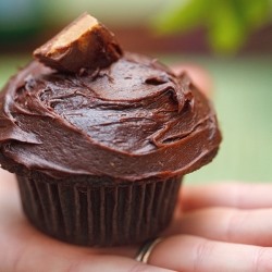 RECIPE: Chocolate Peanut Butter Cupcakes.