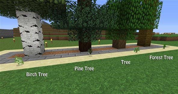 How to Build a Tree Farm in Minecraft for Easy Access to All Types of Wood