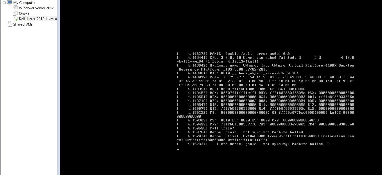Kernal Panic While Installing Kali Linux in Workstation Pro