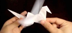 Make an origami flapping bird