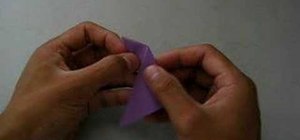 Fold an origami baby bird
