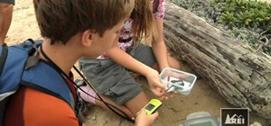 Preload geocache data to improve your vacations