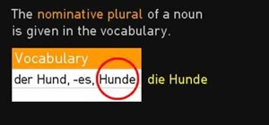 Decline plural nouns in German