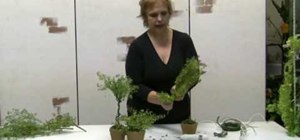 Make an artifical decorative potted herb trio