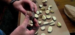 Cut & plant potatoes