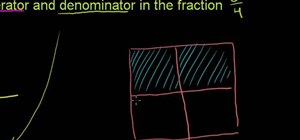 Identify numerators and denominators in basic mathematics