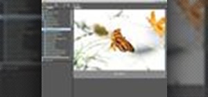 Work with camera raw files in Photoshop