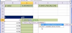Use the T.DIST.2T in Microsoft Excel 2010