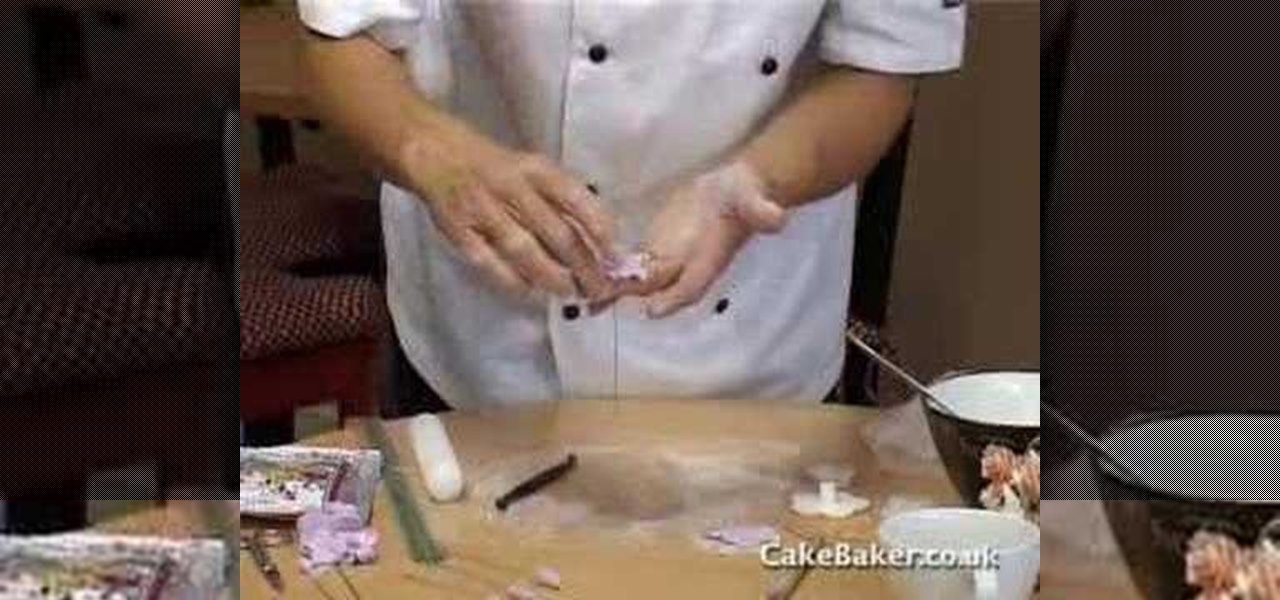 How To Make Sugar Flowers For Cake Decorations Cake