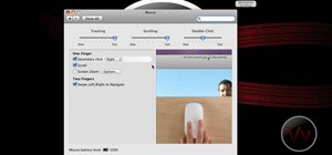Enable momentum scrolling for a Magic Mouse