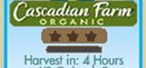 Cascadian Farms - Organic Blueberries