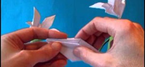 Fold a simple five petal origami lily