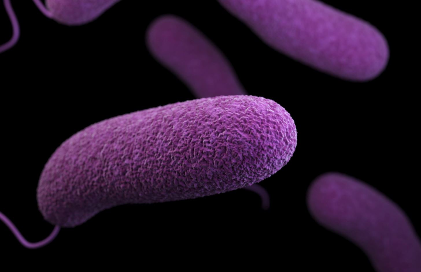 Bacterie xerophile - Bacterie human papillomavirus long term side effects