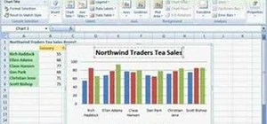 Create charts in Excel 2007