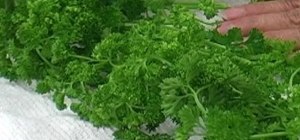 Store parsley to stay fresh