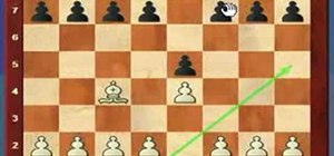 Use the most common chess moves in the Italian Game