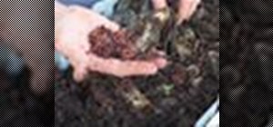 Learn the basics of compost