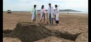 Build the perfect sandcastle