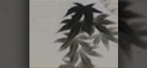 Draw sumi-e ink bird & maple leaves
