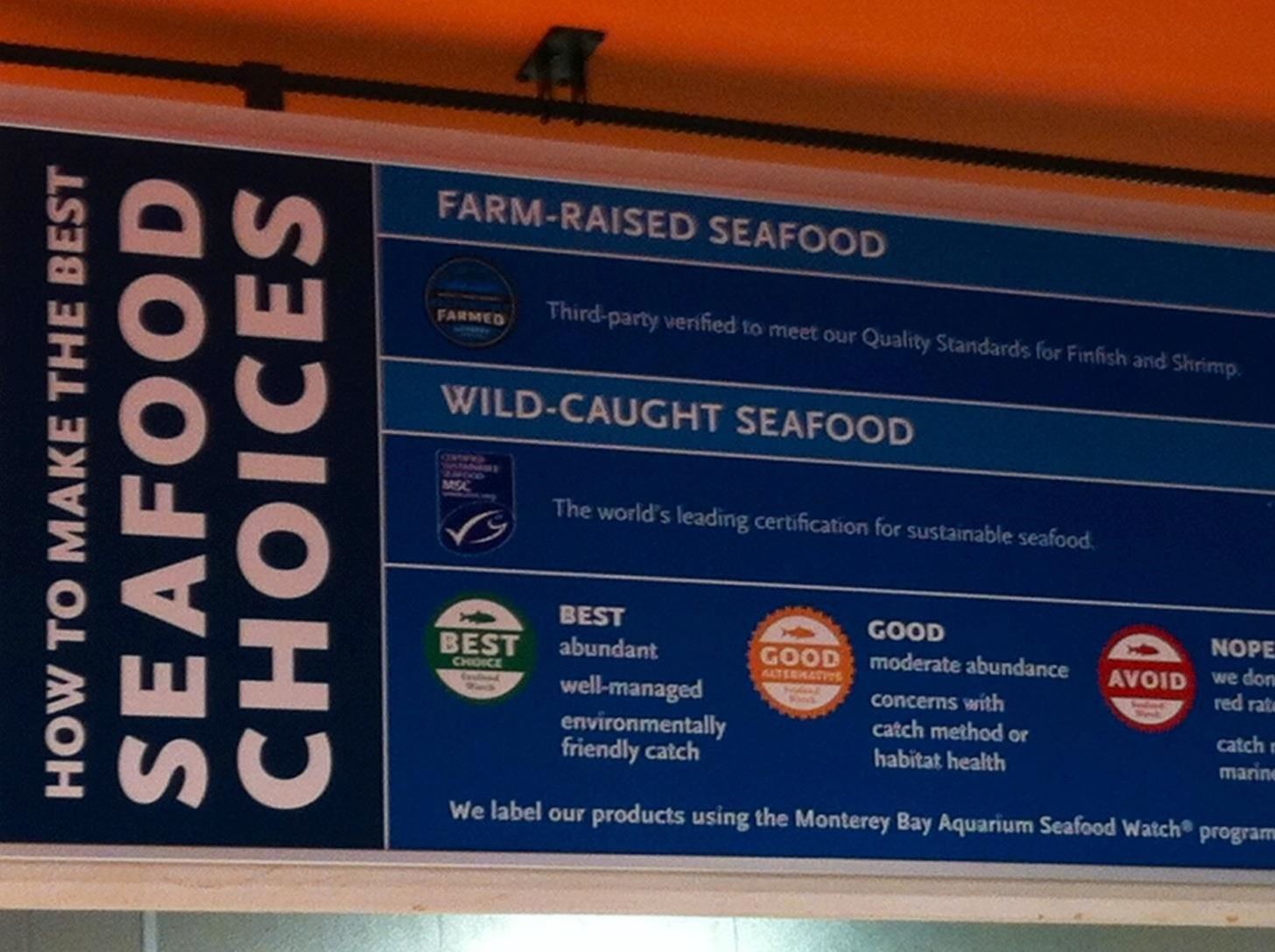 Sustainable Seafood: The Food Hacks Guide to Doing It Right