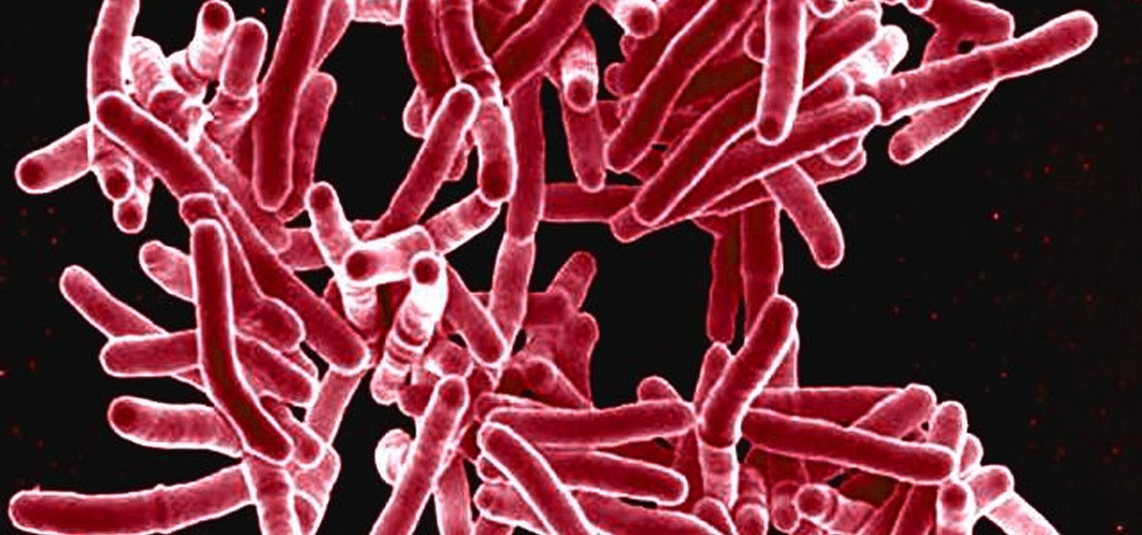 Natural Antibiotic from Cystic Fibrosis Patient Knocks Out TB