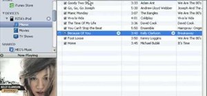 Put music on an iPod shuffle using iTunes music