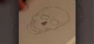 Sketch a human skull