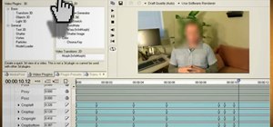 Distort video and audio to hide your identity