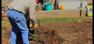 Prepare garden soil for planting