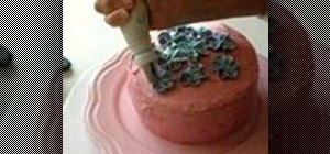 Decorate a cake with buttercream blossoms