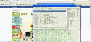 Hack money in Pet Society with Cheat Engine (08/30/09)