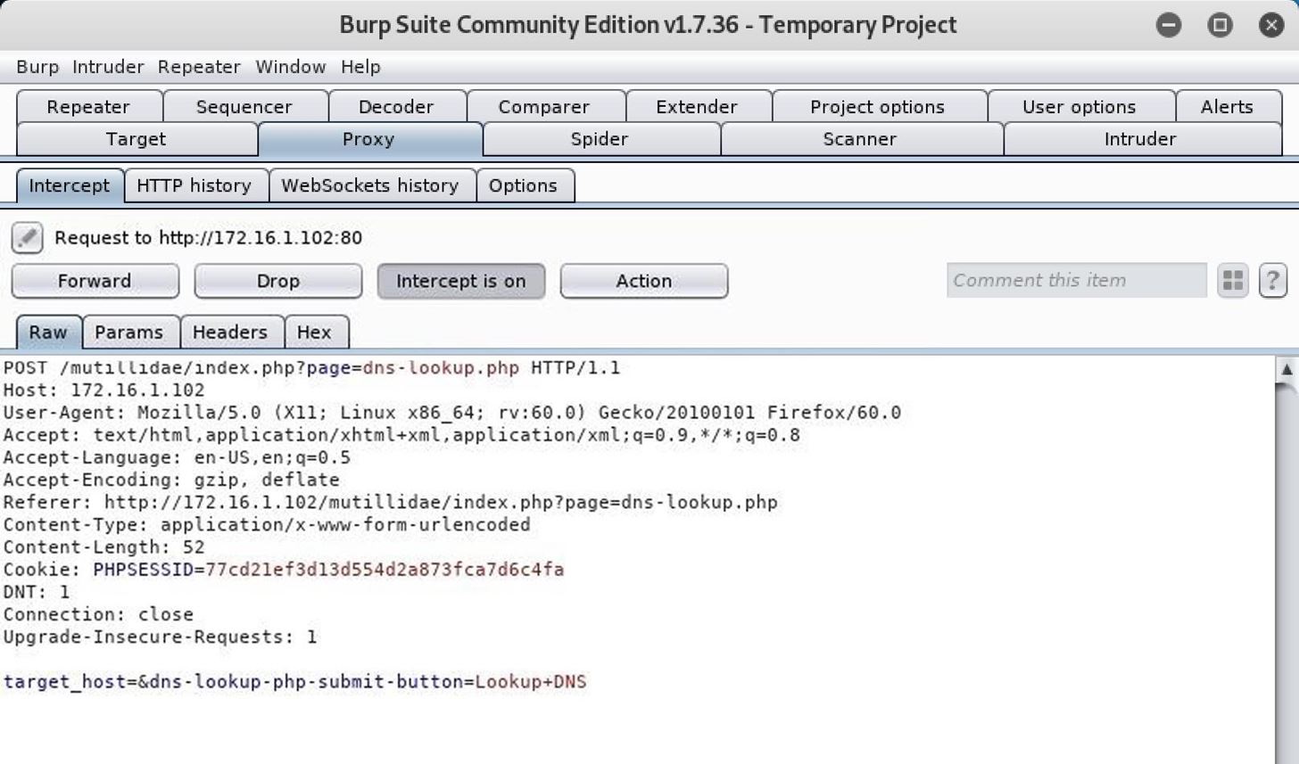 Discover XSS Security Flaws by Fuzzing with Burp Suite, Wfuzz & XSStrike