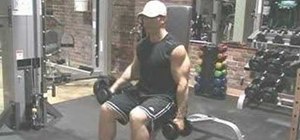 Do the seated alternating dumbbell side lateral raise