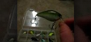 Pick the color of your crank bait for bass fishing