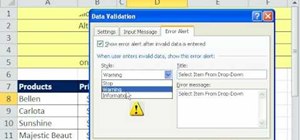 Create a data validation list in Microsoft Excel