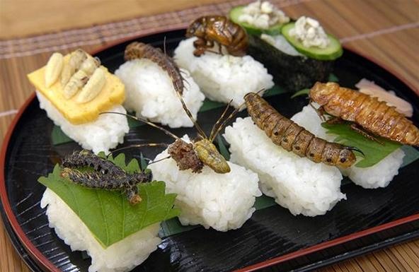 HowTo: Make Insect Sushi (Swear, It Tastes Like Nuts)