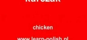 Say "chicken" in Polish