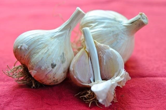 The Ultimate Garlic Cheat Sheet: Which Type of Garlic Goes Best with What?