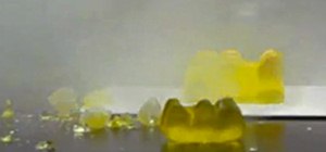 Mutilate Candy Gummy Bears with Exploratory Science Experiments