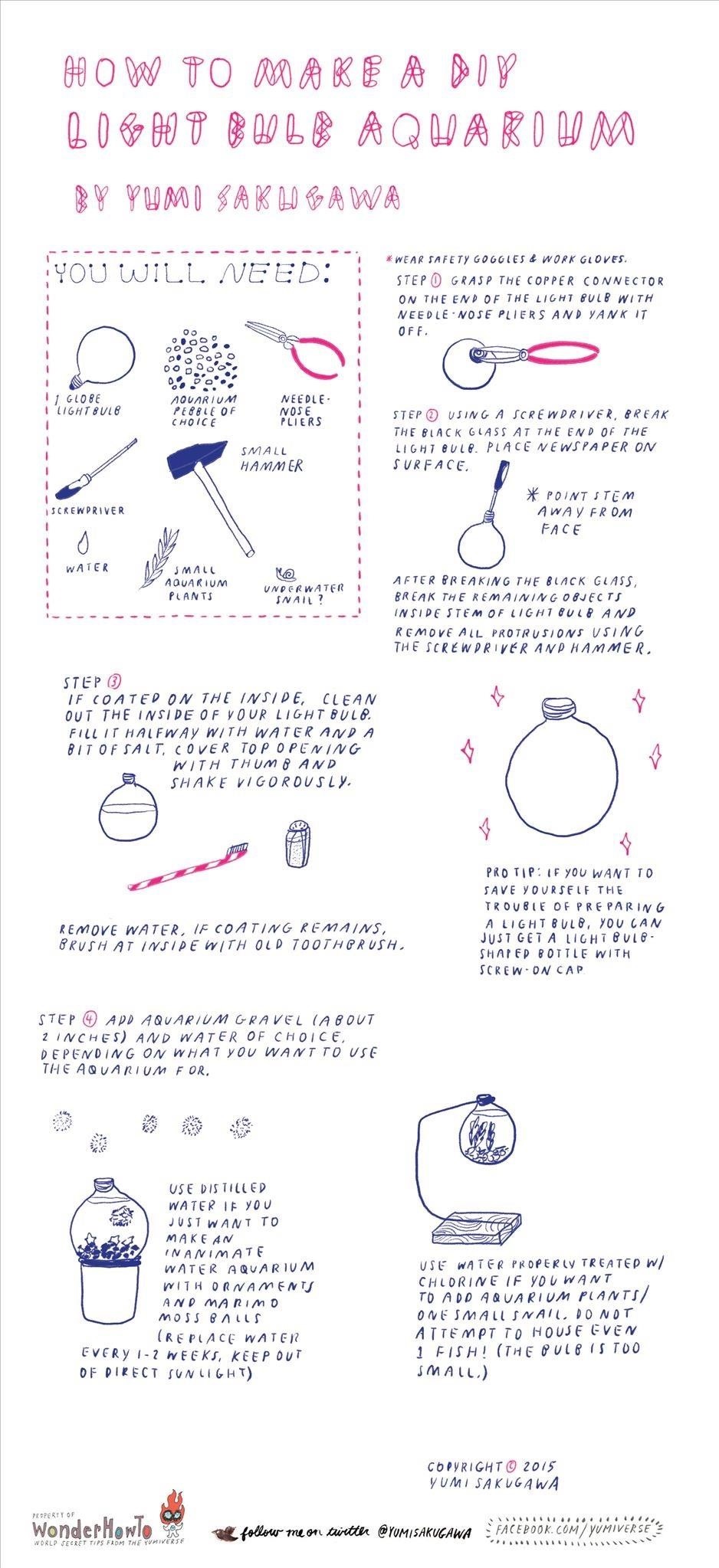 How to Make a DIY Light Bulb Aquarium