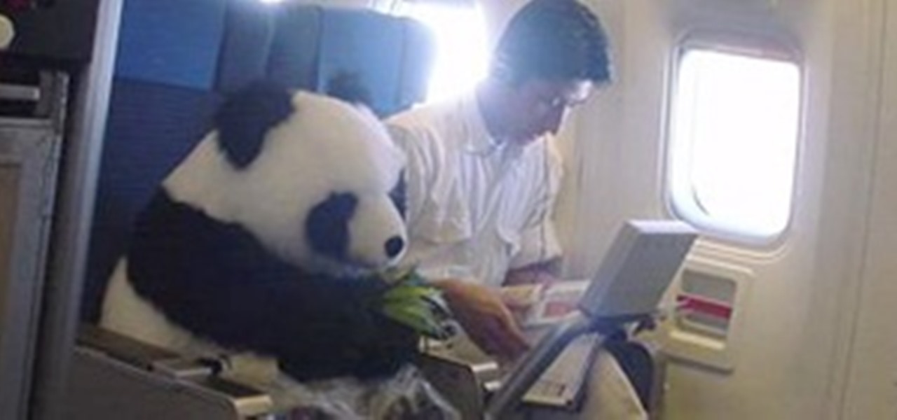 WTFoto of the Day: Out-of-Place Panda! « WTFoto :: WonderHowTo