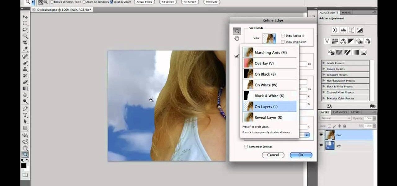 How to Select hair when working in Adobe Photoshop CS5 « Photoshop ::  WonderHowTo