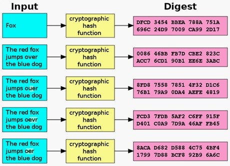 Hack Like a Pro: Cryptography Basics for the Aspiring Hacker