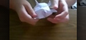 Make a paper tortoise